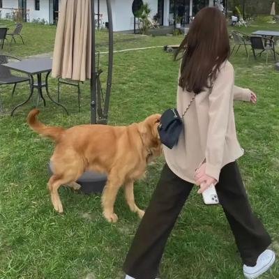 命运探索者 海报
